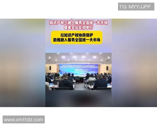 知识产权保护与创新驱动发展路径探索：法律、技术与市场的协同作用